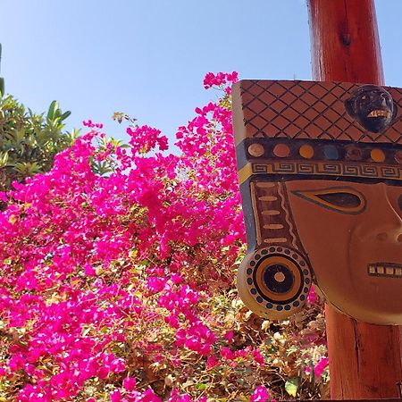 La Fortaleza Del Inca Lunahuaná エクステリア 写真